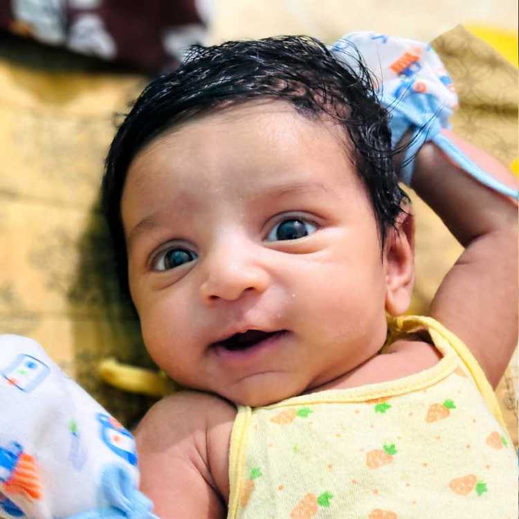 profile image of MEET PATEL