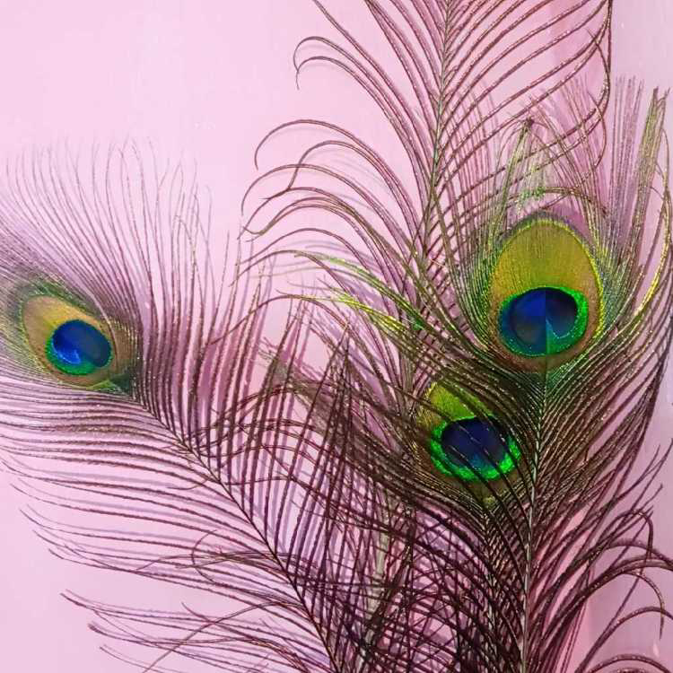 profile image of Rajeswari