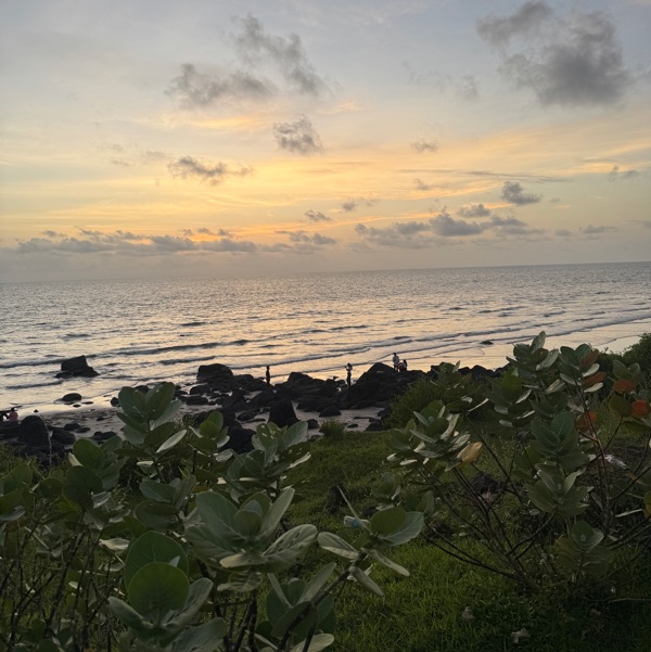 profile image of Dr Mayuri Patil