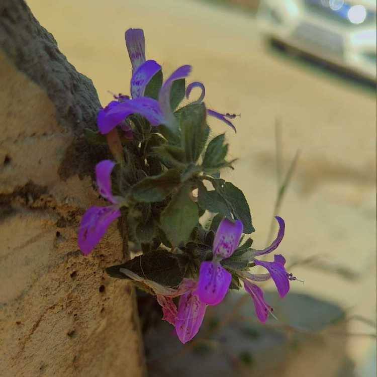 Aanchal Bajaj profile image of Aanchal Bajaj