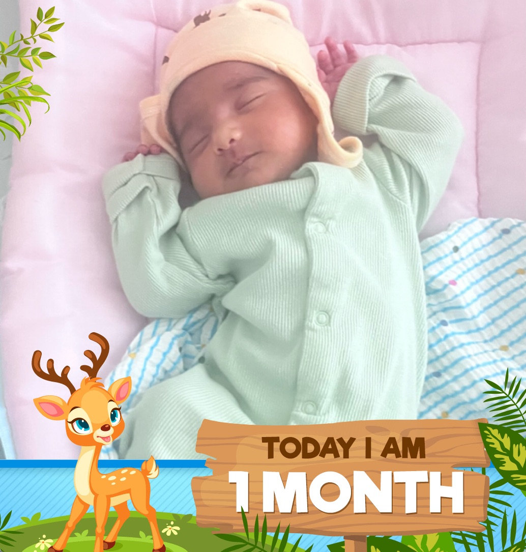 profile image of Shweta Mishra