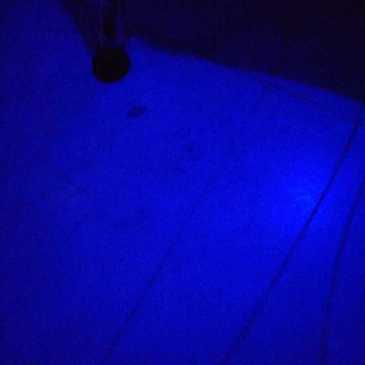 profile image of Brinda Kanakhara Shah