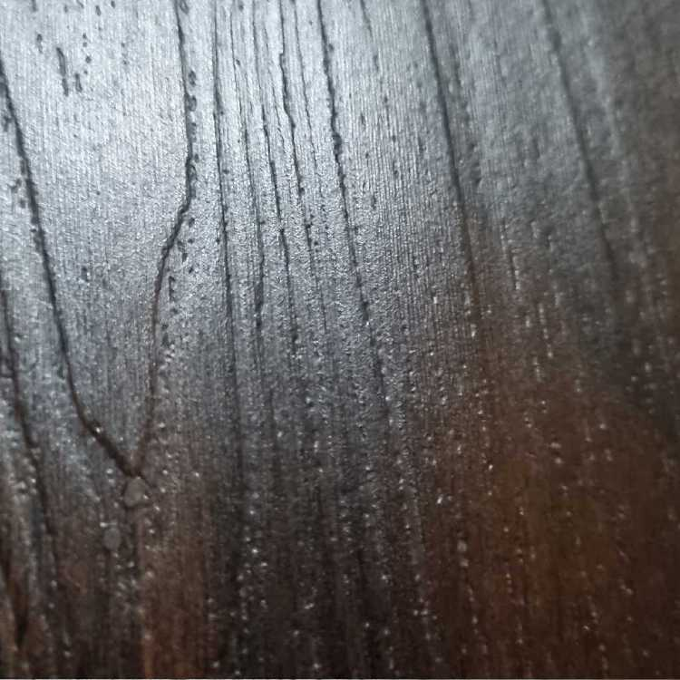 profile image of Syed Farheen Banu