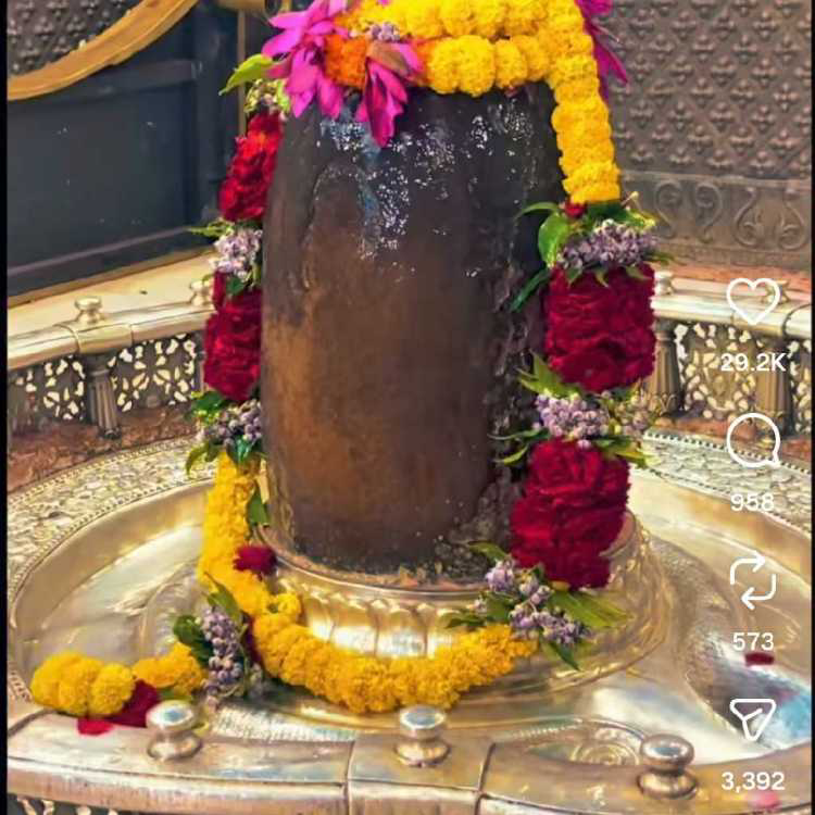 profile image of Garima Sohal