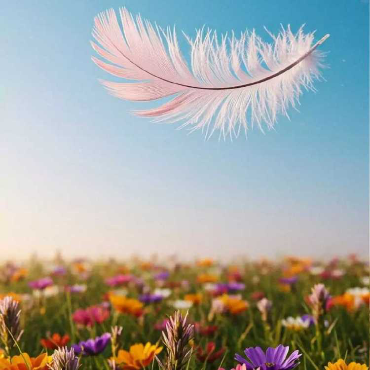 profile image of K Prajapati