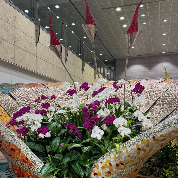 profile image of Hema