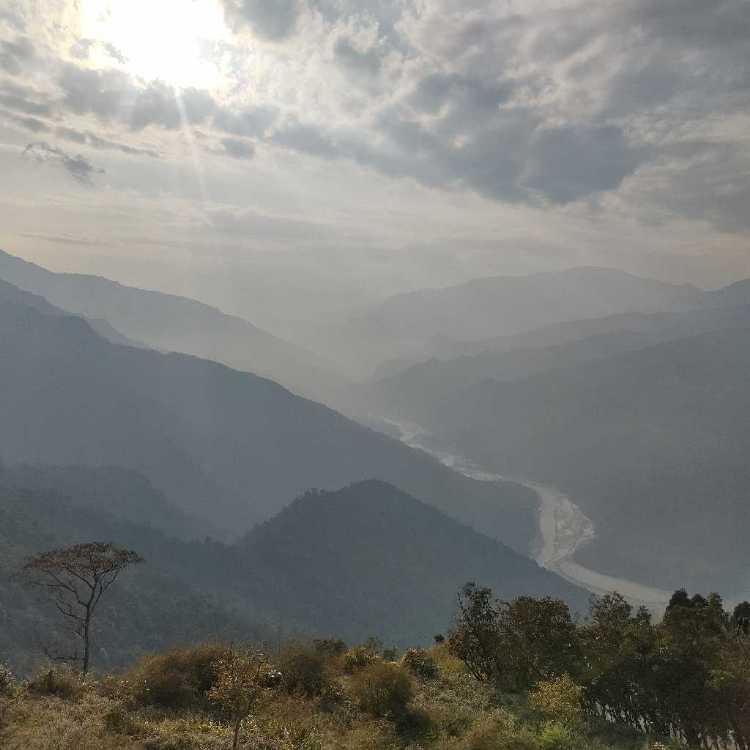 profile image of Priya Mitra