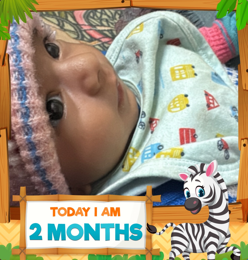 profile image of Shruti Srivastava