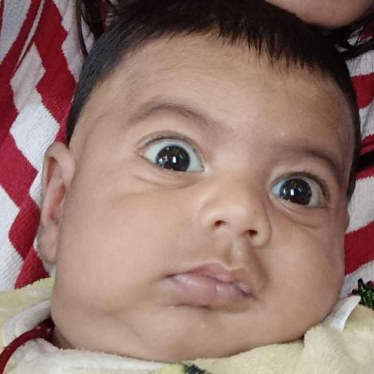 profile image of Afreen Khan