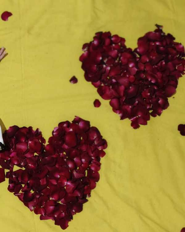 profile image of Sandhya Jangam