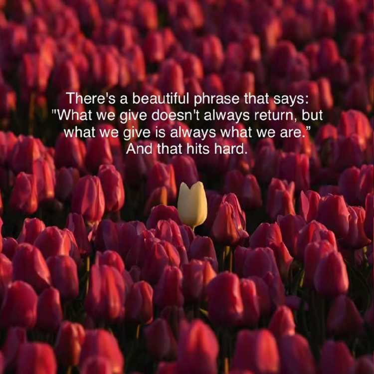 Ginni Mohit Rajwani profile image of Ginni Mohit Rajwani