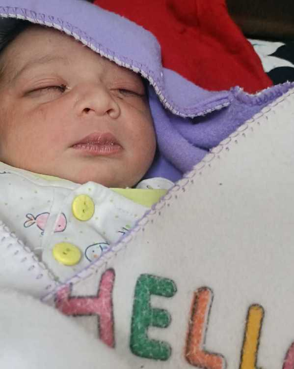 profile image of Shabab