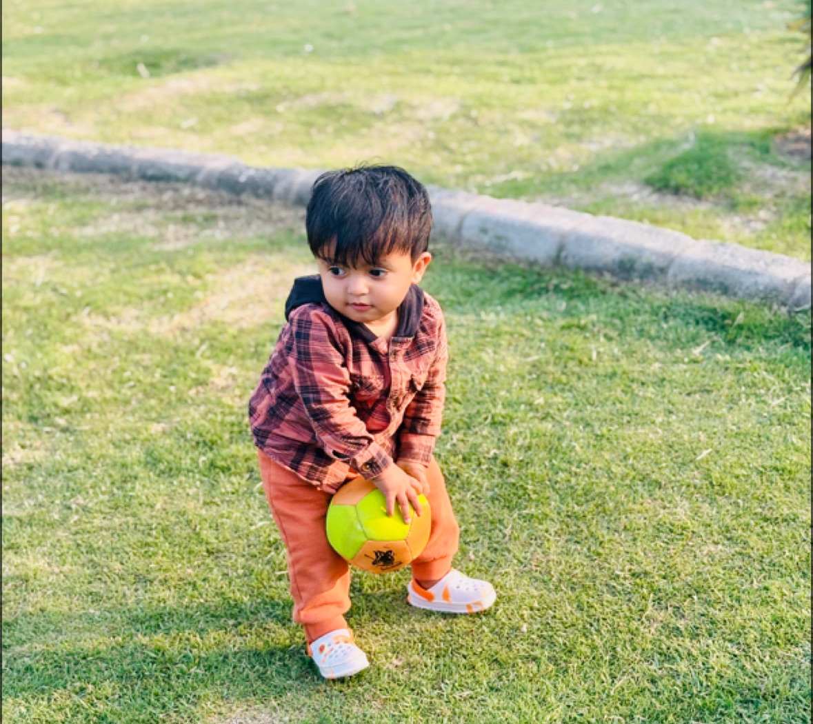 Sonali sengar profile image of Sonali sengar