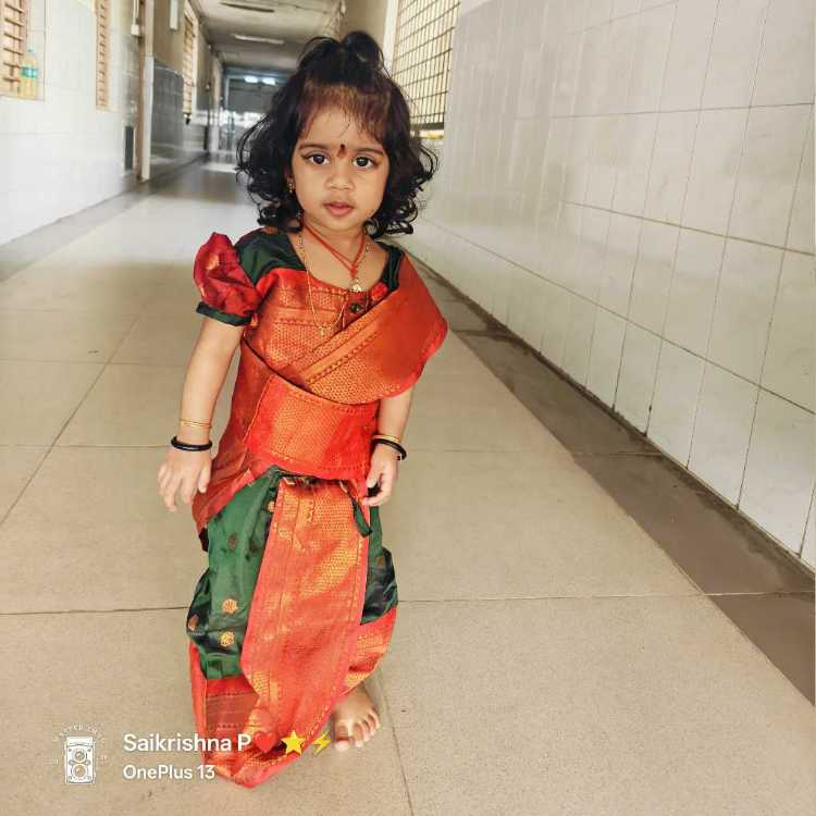 profile image of Saikrishna Pasupunoori