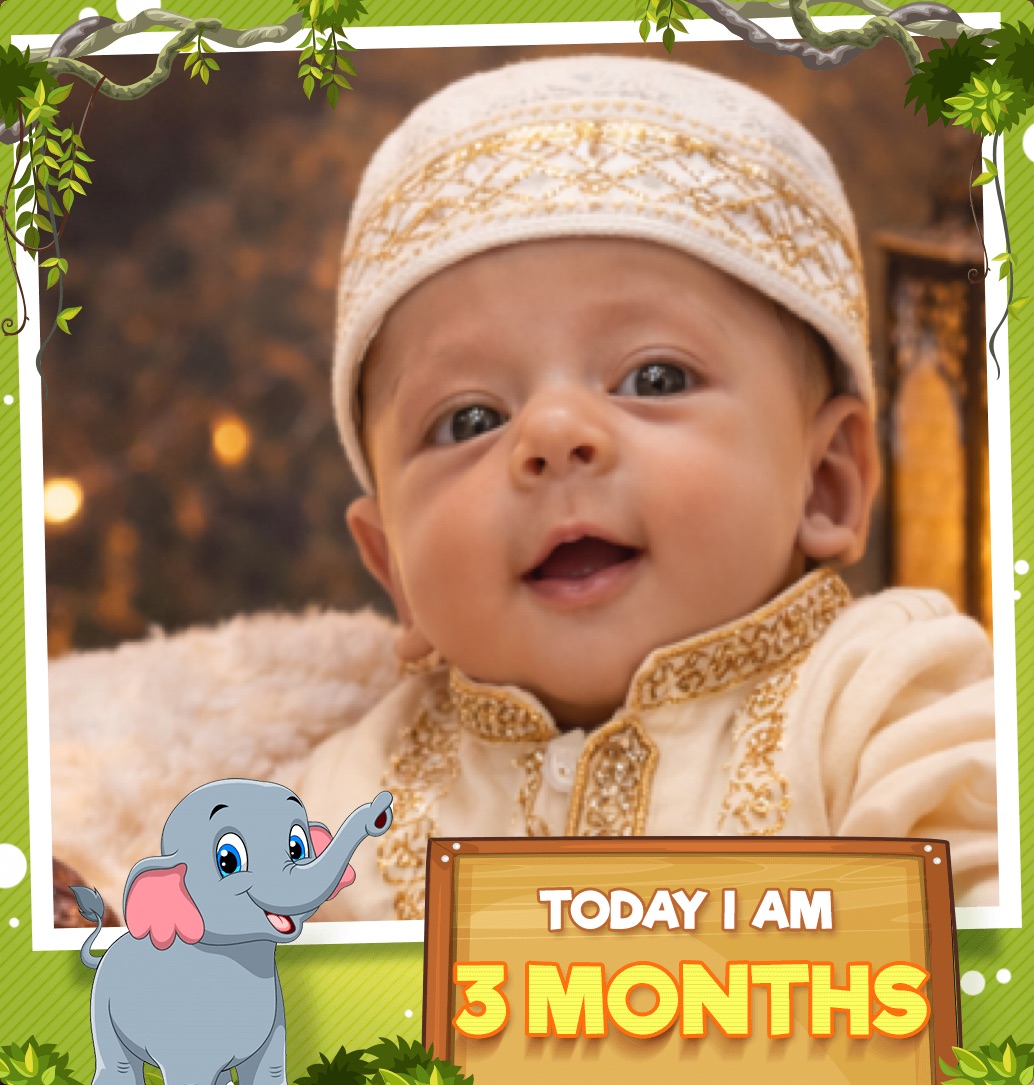 profile image of Shifa Faizan