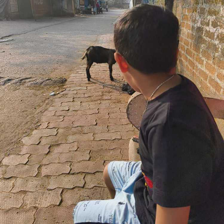 profile image of Payal