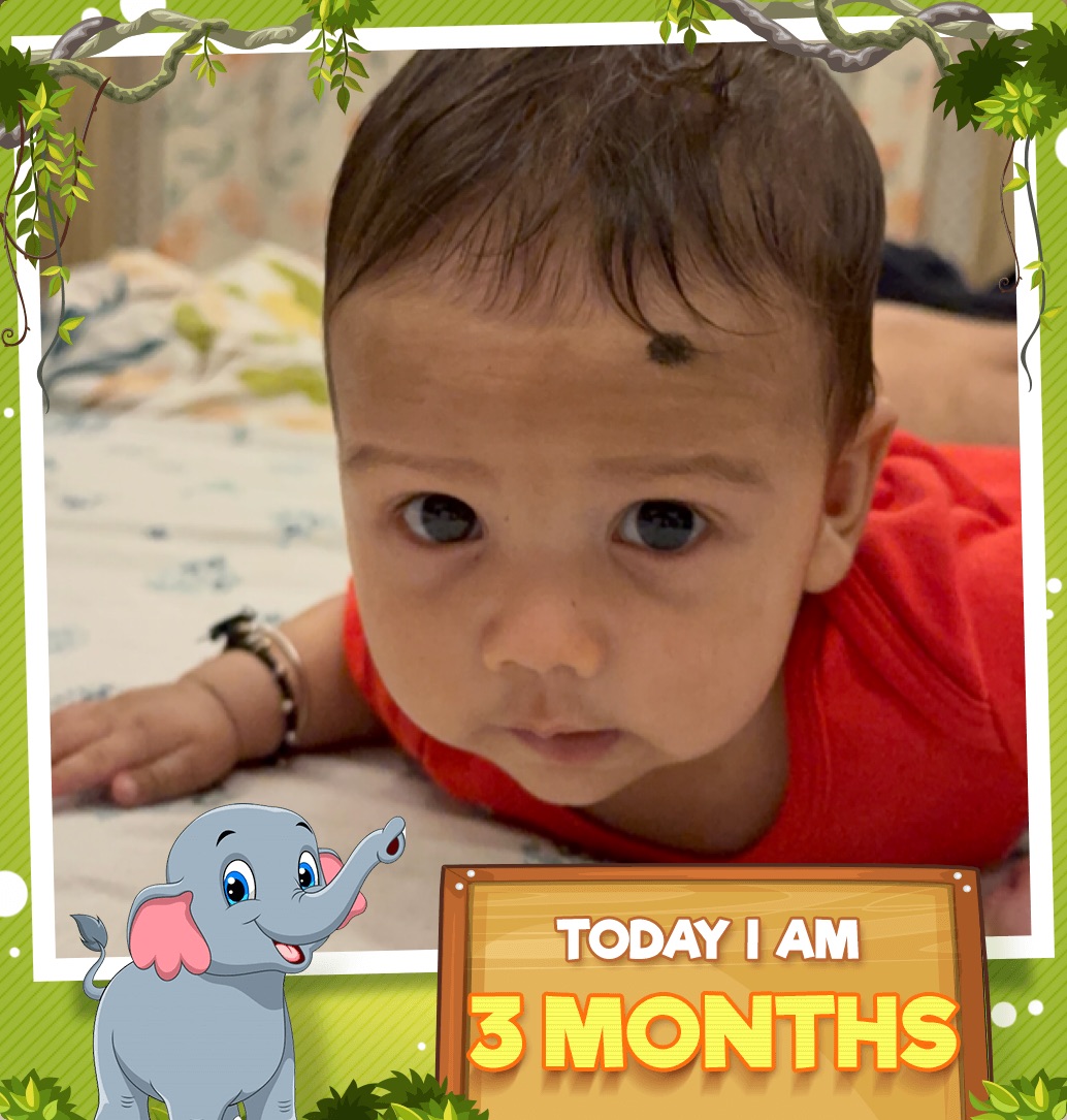 profile image of Namita