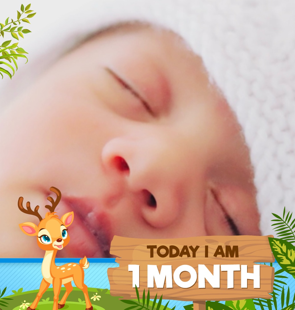 profile image of Myraa