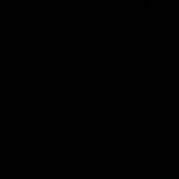 profile image of Rinku