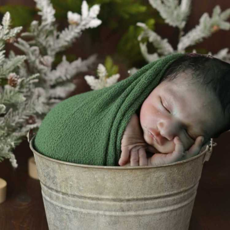 profile image of Tanushree karmakar