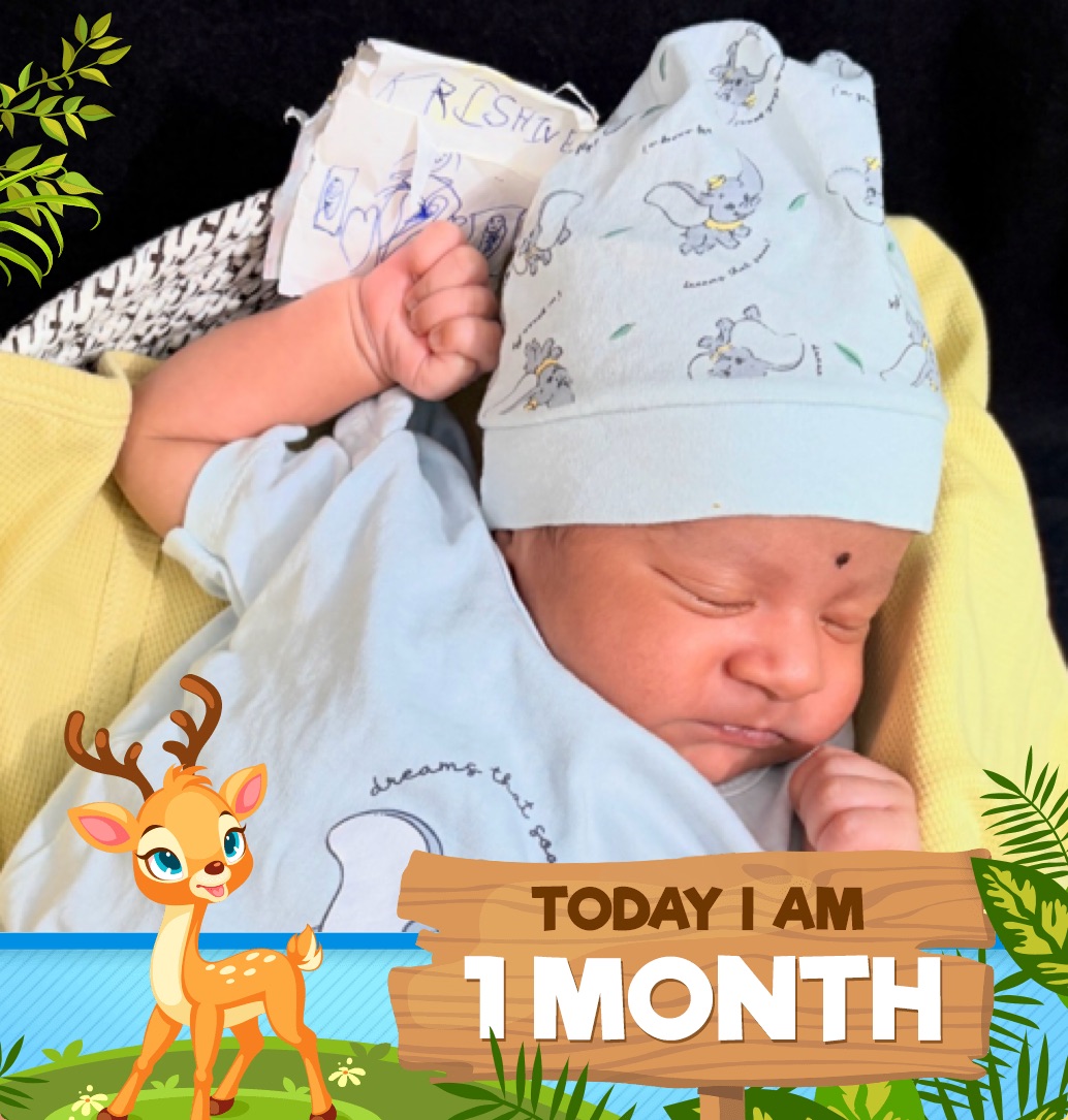 profile image of Chitra