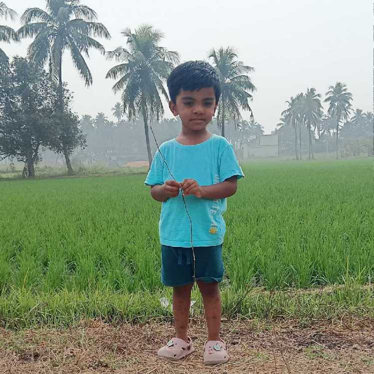 profile image of Parisuddhi Kolati