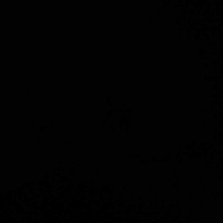 profile image of patel Farha