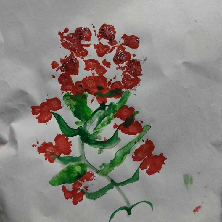 profile image of shalini jamwal