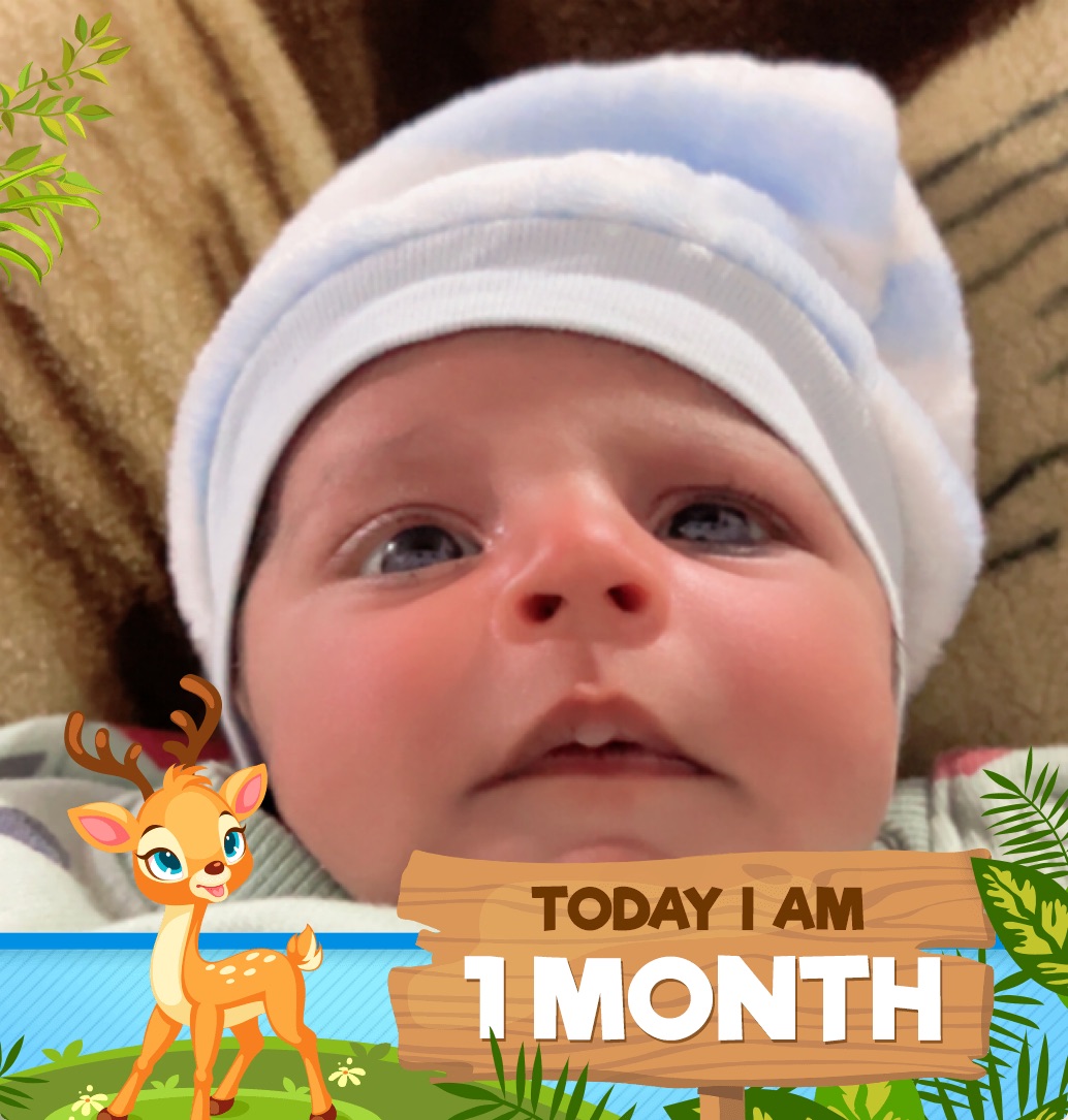 profile image of Takdeer