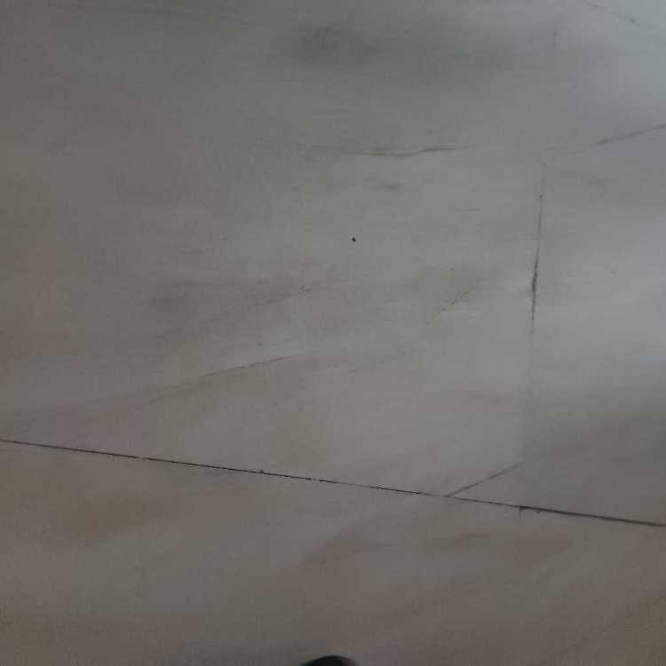 profile image of Khushi Jindal