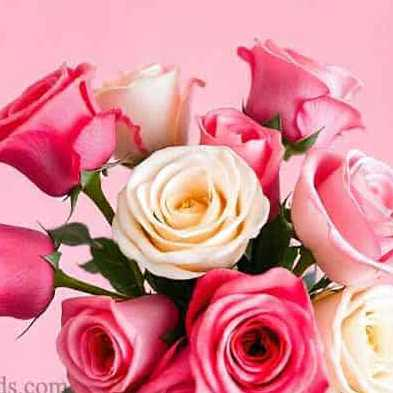 profile image of Ratna