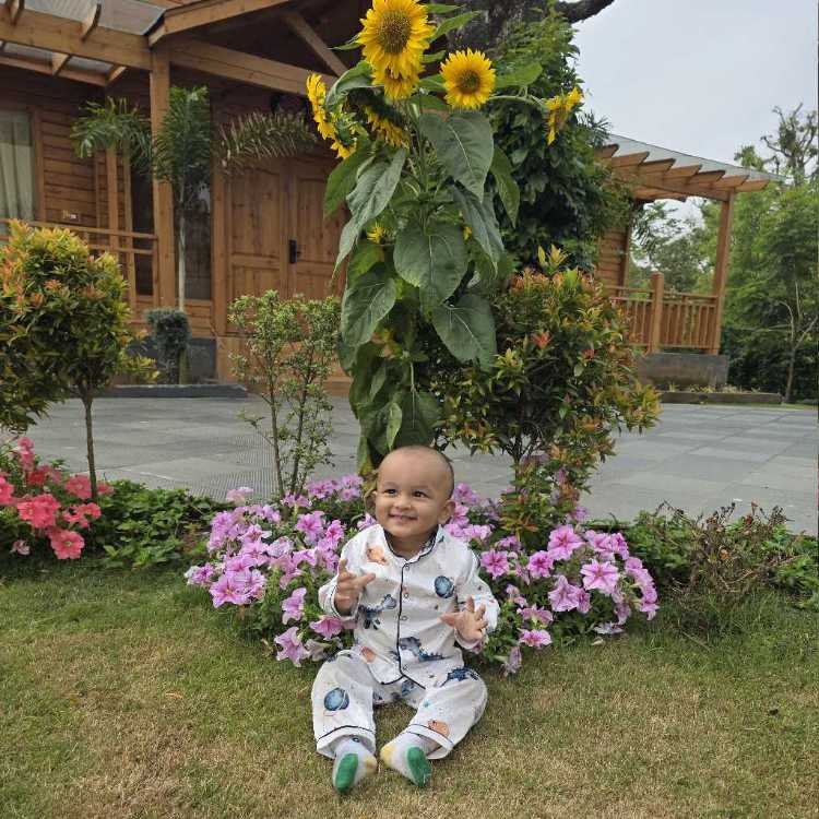 profile image of Advait srivastava