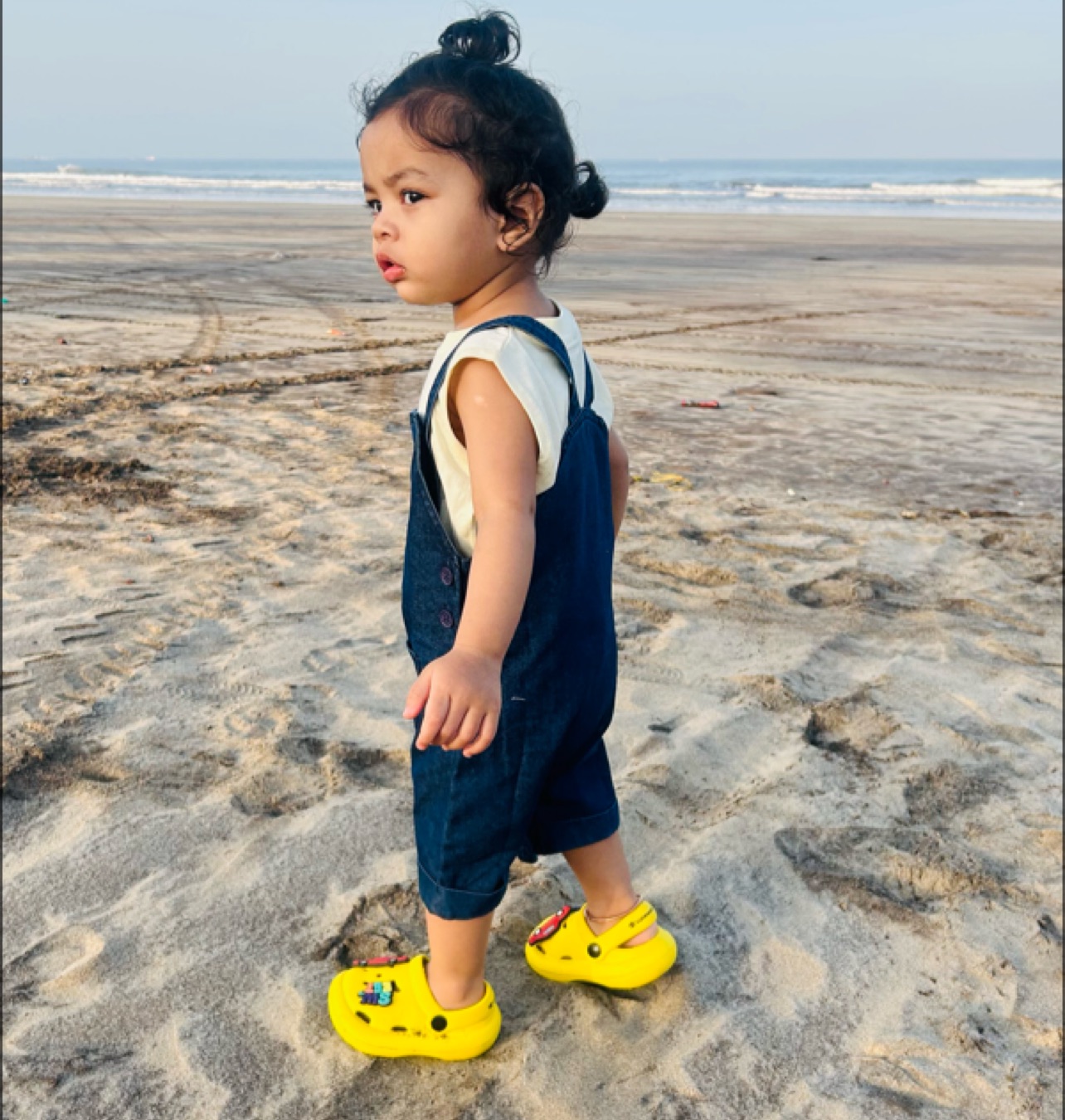 profile image of shashi