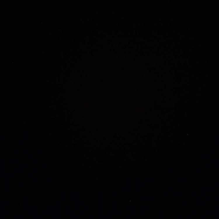 profile image of Dr Nandini