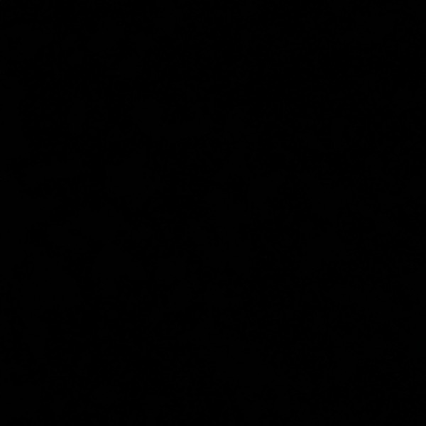 profile image of Arpita