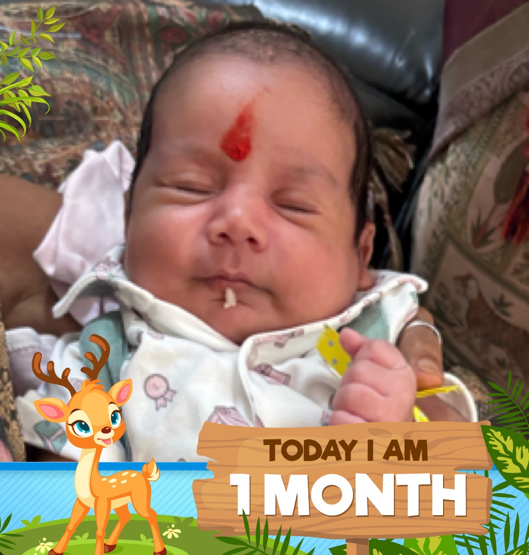 profile image of Ankita
