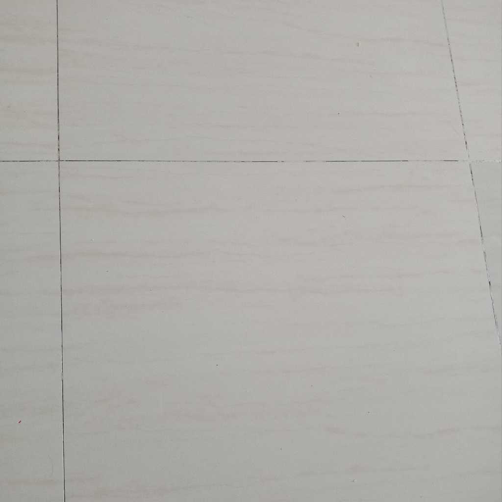 profile image of EKTA