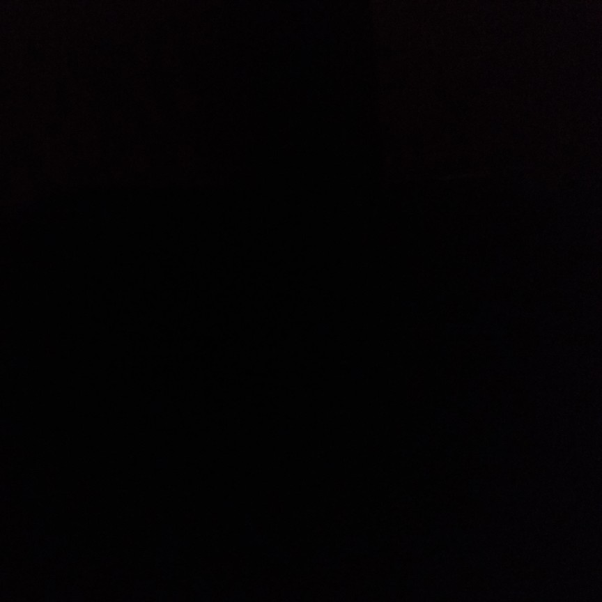 profile image of Jeevitha D