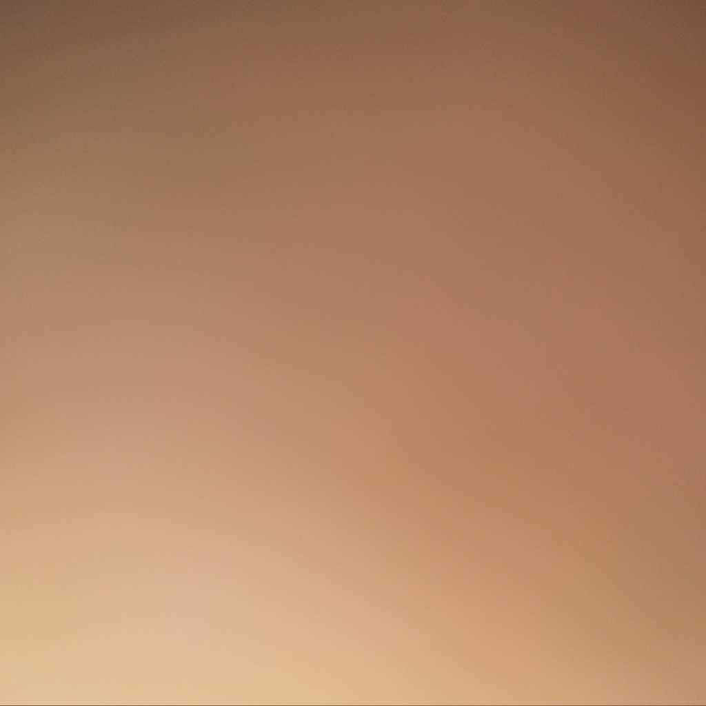 profile image of dhara