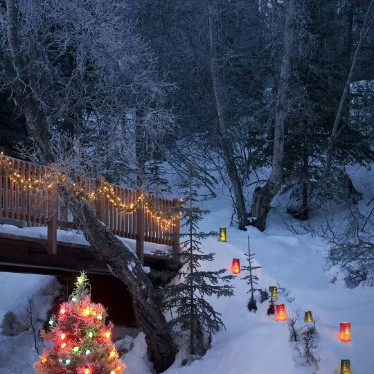 dabur lal tail in winter in hindi