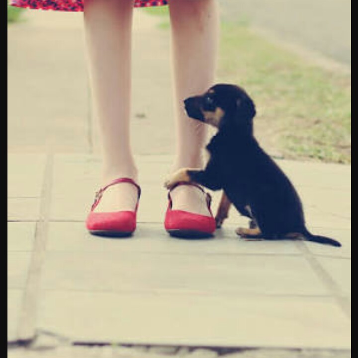 profile image of sefali