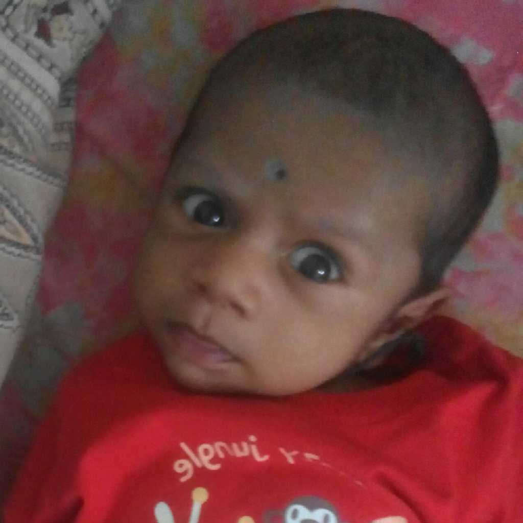profile image of Pooja Amit Kodhe