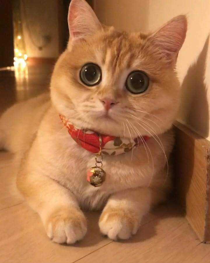 profile image of kavitha