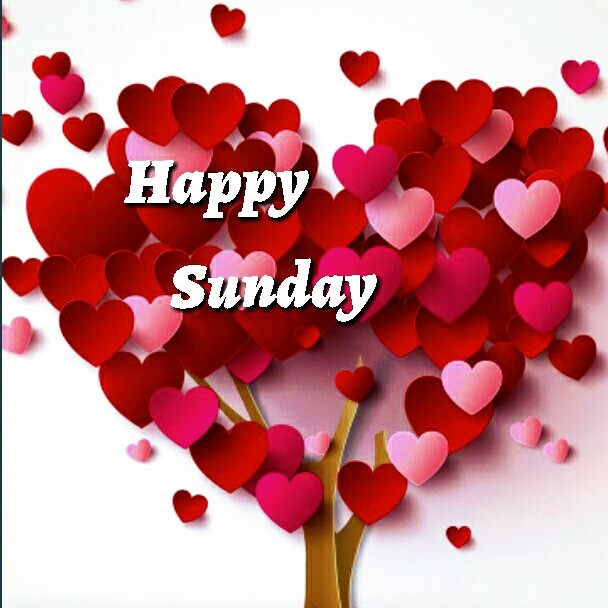 profile image of Richa