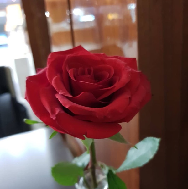 Mahrose profile image of Mahrose