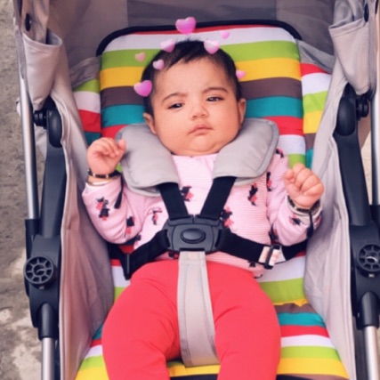 profile image of Pali