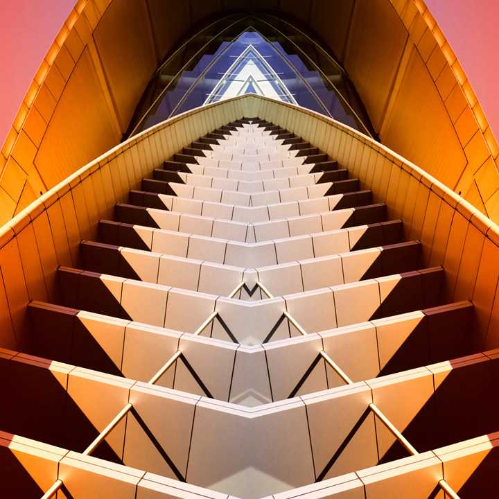 profile image of tanu saha