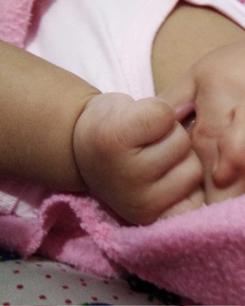 profile image of noumiya