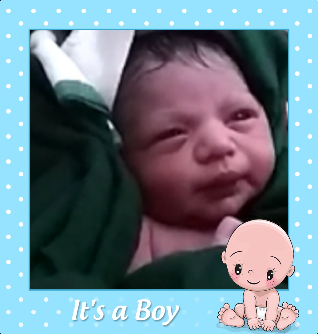 profile image of Bhargavi m