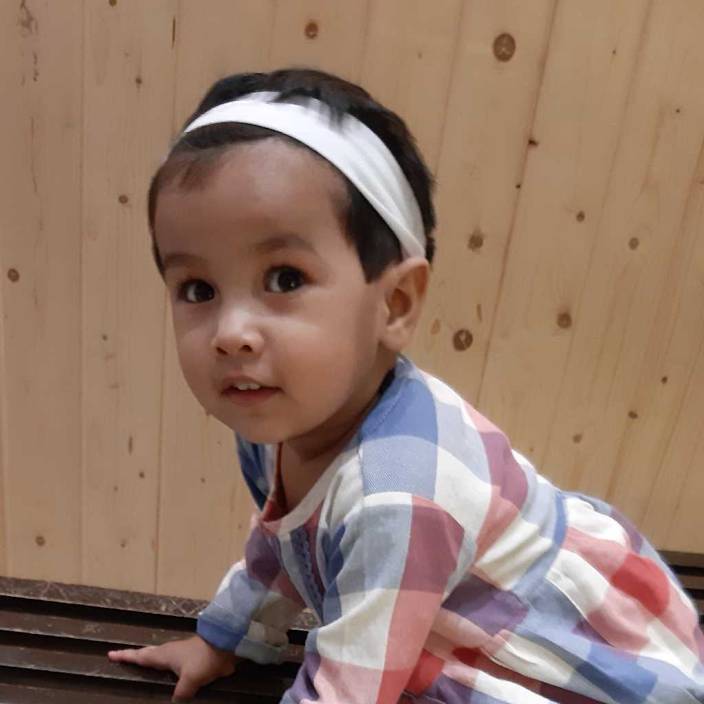 profile image of Fauzia Shaikh